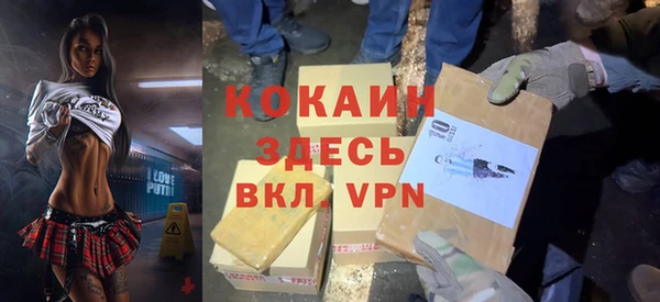 дживик Алексин