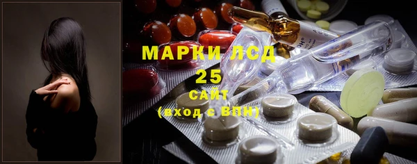 PSILOCYBIN Аркадак