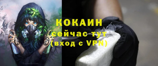 PSILOCYBIN Аркадак