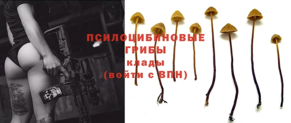 дживик Алексин